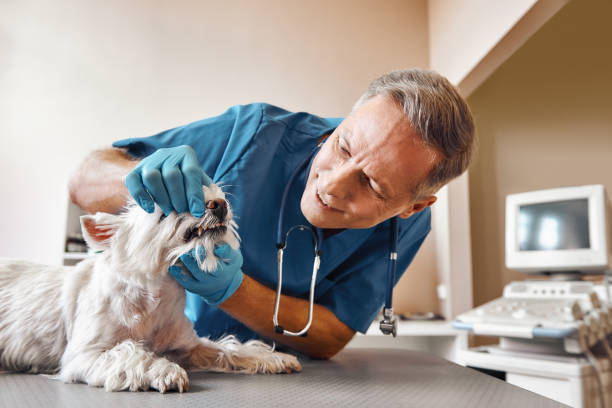 Best After-Hours Dental Care in Byram, CT